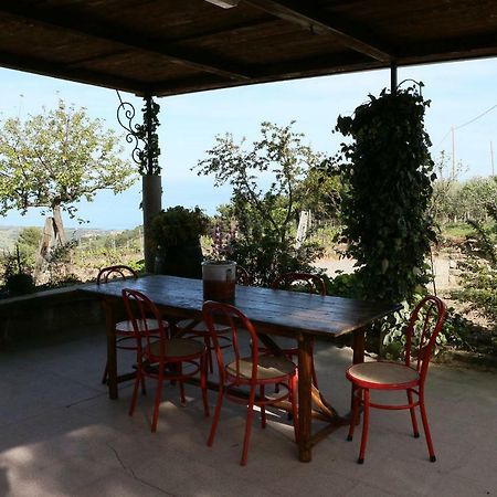 B&B Il Vigneto Trebisacce Ngoại thất bức ảnh