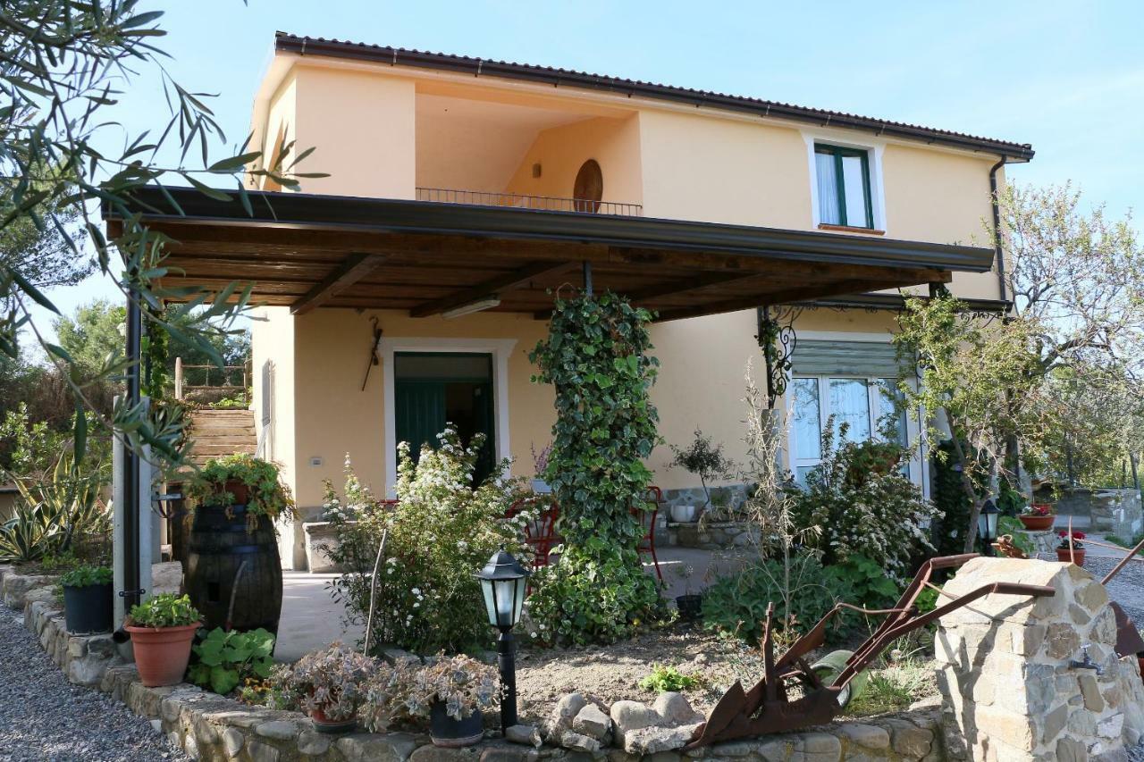 B&B Il Vigneto Trebisacce Ngoại thất bức ảnh