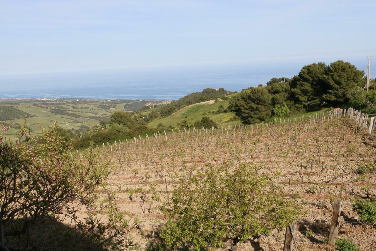 B&B Il Vigneto Trebisacce Ngoại thất bức ảnh