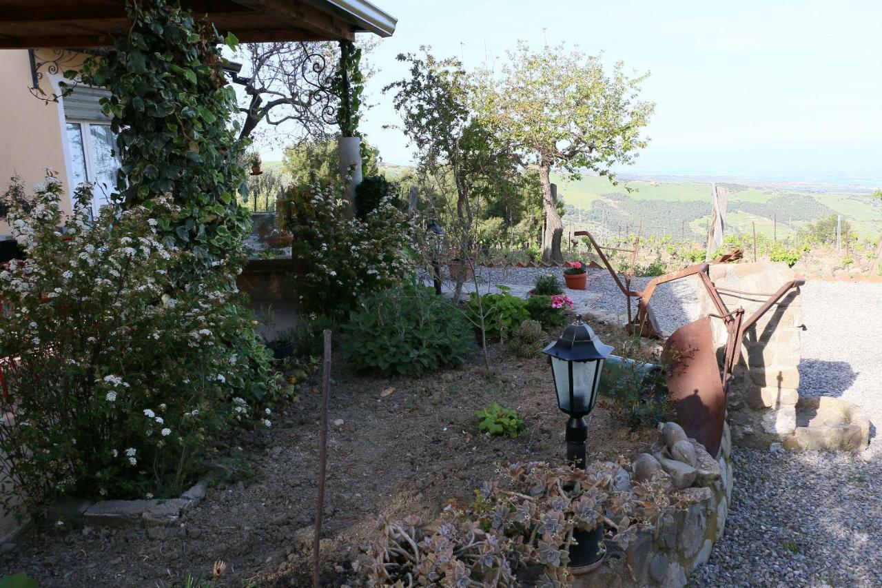 B&B Il Vigneto Trebisacce Ngoại thất bức ảnh