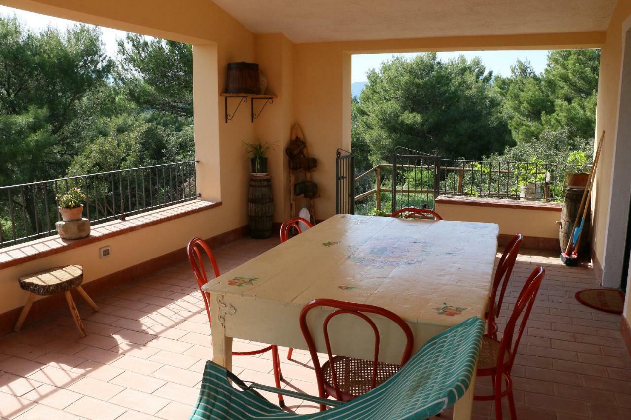 B&B Il Vigneto Trebisacce Ngoại thất bức ảnh